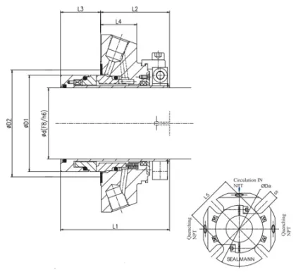 ICS-Compatible Submersible Pump Seals