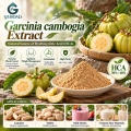 Extrato de Garcinia Cambogia com 50% –60% de ácido hidroxicítrico