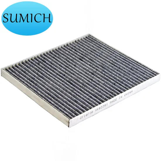 High Efficiency Pleated Air Cleaner - Shumiqi CF10730 Filter Assembly with Carbon Filter and Auto Drain