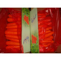 Fresh Carrot High Quality 2020