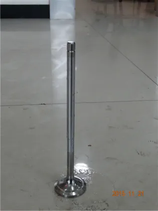 B&W Marine Engine Parts Valve Intake Valve