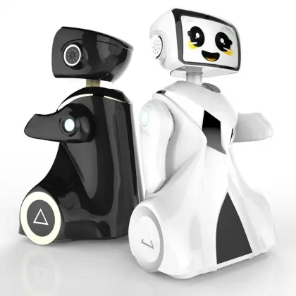 AI Service Care Robot Product Design & Development