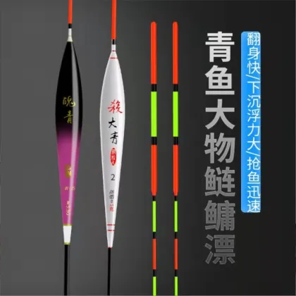 China Gravity Induction Fish Float - Daytime & Night Carp Fishing