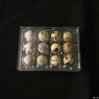 Plastic Crate Boxes for Packaging 12 Quail Eggs in Agriculture Industry