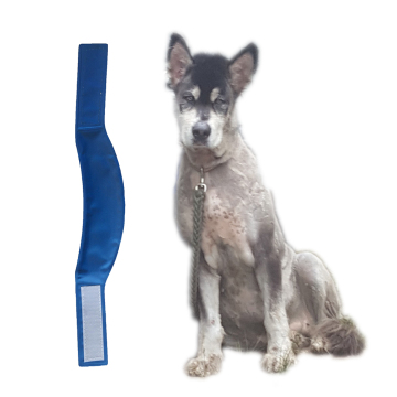 Güvenli Toksik Olmayan Isı Stres Soğutma Köpek Yakalarını Hafifletir