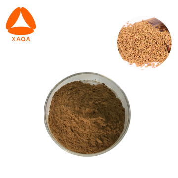 Fenugreek Seed Extract Powder For Penis Enlarge