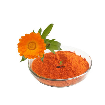 Extrait de fleur de marigold en poudre lutéine