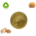 Lion&#39;s Mane Mushroom Extract 30% polysacchariden poeder