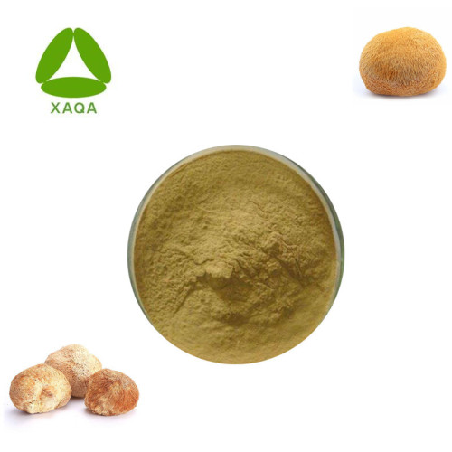 Lion's Mane Mushroom Extract 30% polysacchariden poeder