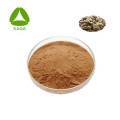 Moringa-Extrakt Moringa-Samen-/Blatt-Pulver