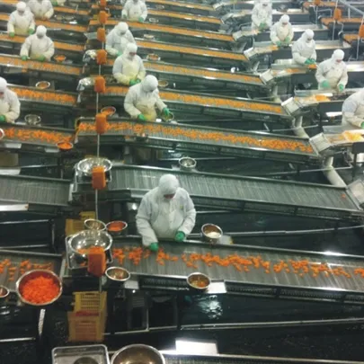 Orange Fruit Can Production Line
