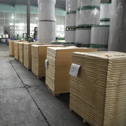 coated duplex board white back or grey back