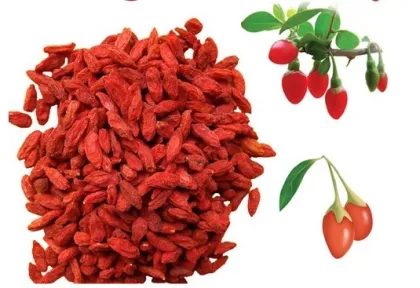 Natural Go ji extract high-quality No additives