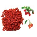 Natural Go ji extract high-quality No additives