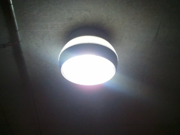 30W LED Garden Light (4)