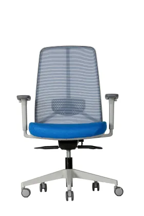 Beautiful symmetrical middle back net chair