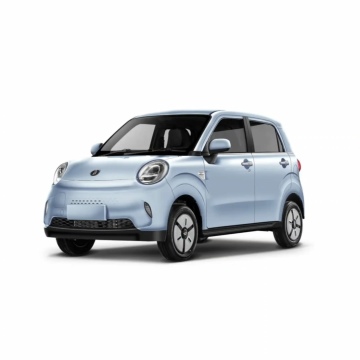 High Quality Permanent Magnet Synchronous Motor Electric Mini Vehicle for Adults