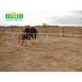 Useful animals of horse fence