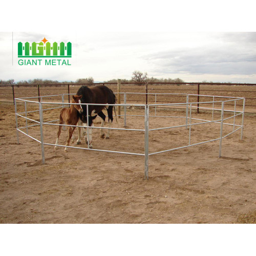 Animais úteis de cerca de cavalo