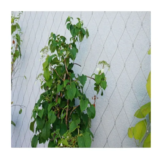 China Factory Stainless Steel Wire Rope Mesh and Ferrules for Climbing Trellis