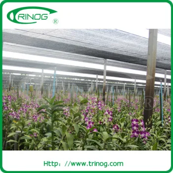 Mesh netting for greenhouse net house