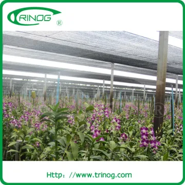 Mesh netting for greenhouse net house