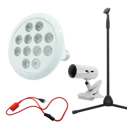 Red Light Bulb Red Infrared Therapy Lamp