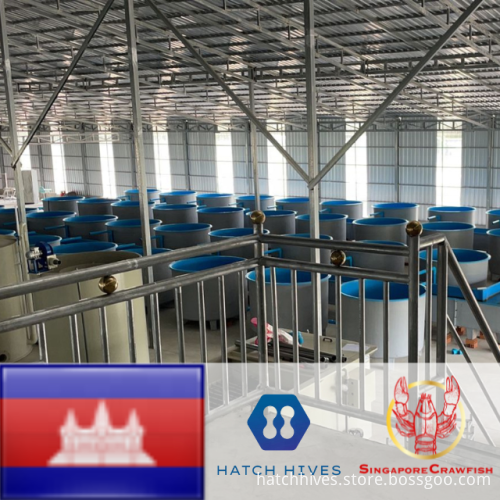 Steel Structure Prefabricated Building for Aquaculture: HatchHives Crawfish Hatchery RAS System Equipment for Fish Farming