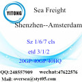 Trasporto del porto del porto di Shenzhen ad Amsterdam