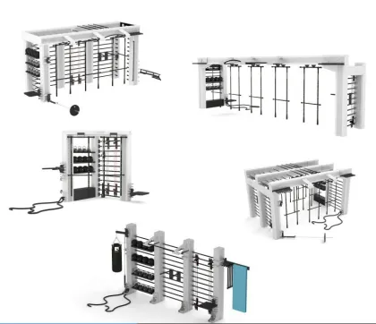 Queenax Functional Training System
