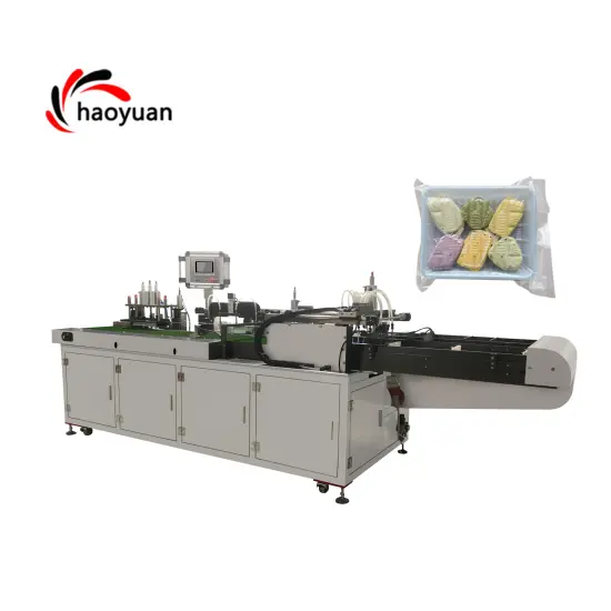 HYZK-100 Automatic Food Vacuum Packing Machine
