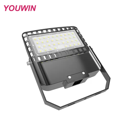 YOUWIN 100W Outdoor LED Street Light - IP66/IP65 ROHS SAA Certified