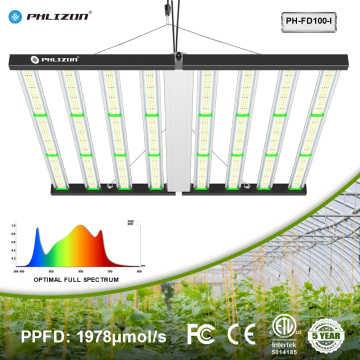 Medizinischer Hanf LM301H Innenlicht wachsen