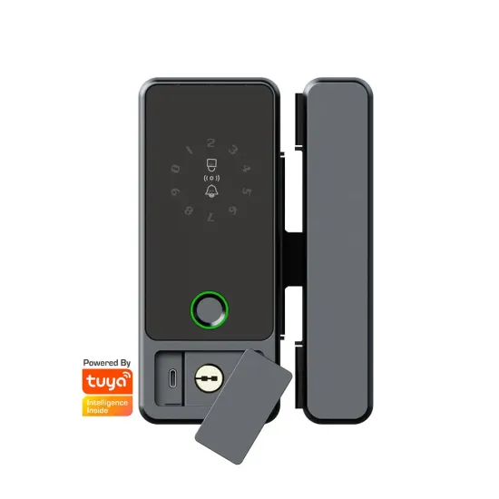Fingerprint Tuya Smart Sliding Glass Door Patch Lock