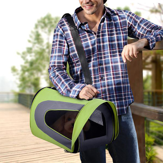 Pet Travel Carrier