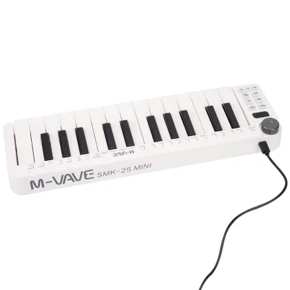 Portable Mini 25 Key Digital Piano - Professional Electronic MIDI Keyboard Controller