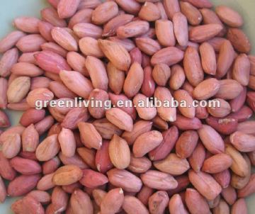 50/60 red skin peanut kernels ,shandong peanut kernels in china