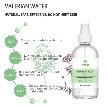 Valeriana officinalis Destillatwasser – 100 % rein und natürlich
