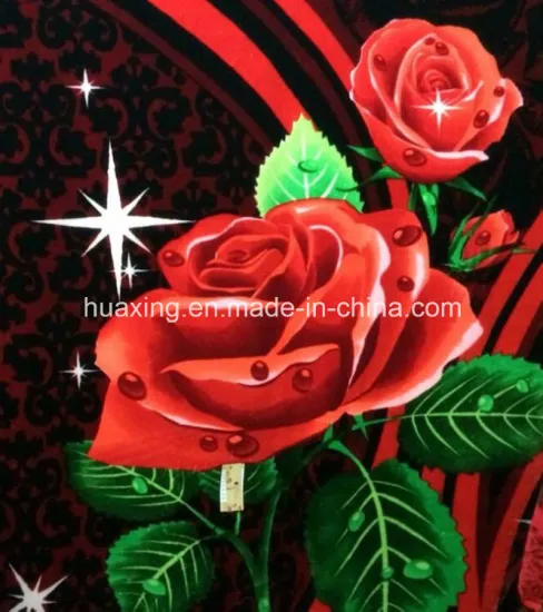 2014 New Design 3D Raschel Blanket Printing Blanket Polar Fleece Blanket