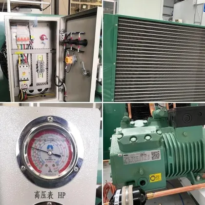 Customized Bitzer Semi-Enclosed Condenser Unit for Refrigerated Meat and Seafood Storage (10HP/20HP)