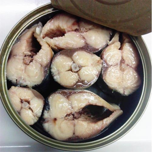 Makrelenkonserven in Dosen in Pflanzenöl