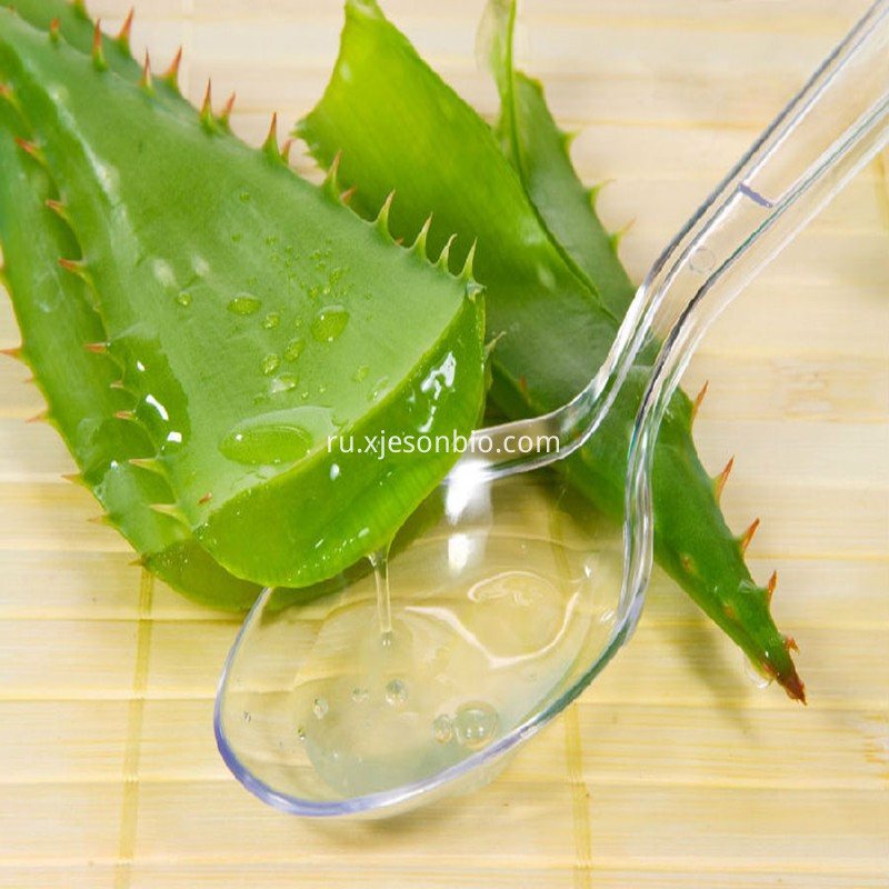 Aloe Vera Extract Powder