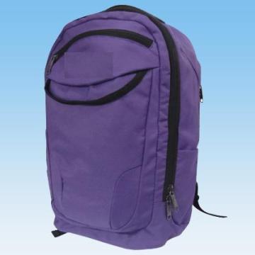 2013 New design computer backpack