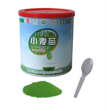 Young Wheat Leaves Powder Drumed solid beverage
