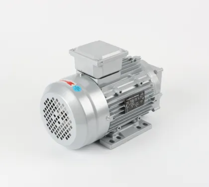 220V ac motor
