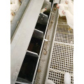 Automatic poultry breeding and egg collection box