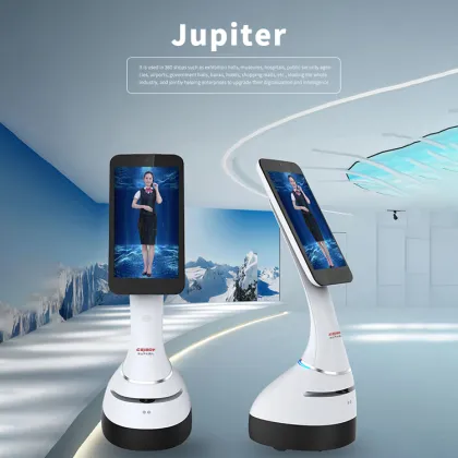 Digital Virtual Character and Service Robot for Exhibition Halls