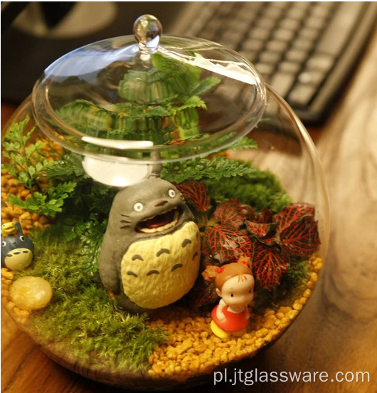 Różne typy terrarium z przezroczystym szklanym wazonem