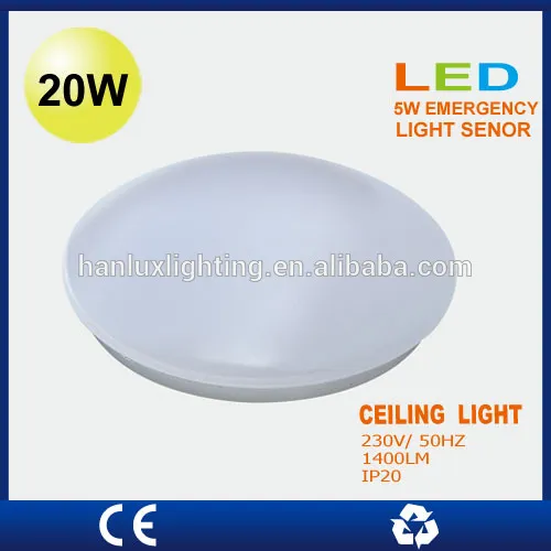 22W LED celing lamp