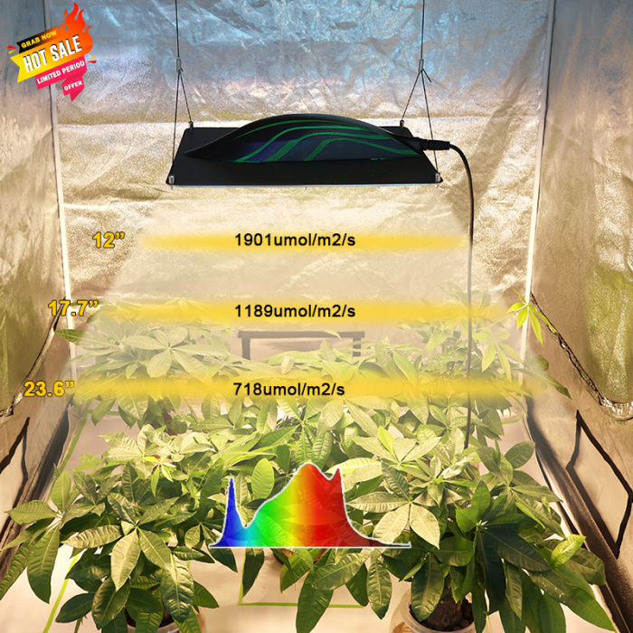 LED Grow Light 320 W Board kwantowy